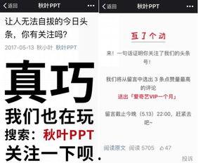 自媒体头条粉丝排名,揭秘热门账号背后的秘密