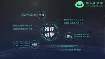 头条官方培训怎么参加的,揭秘参与方式与报名攻略