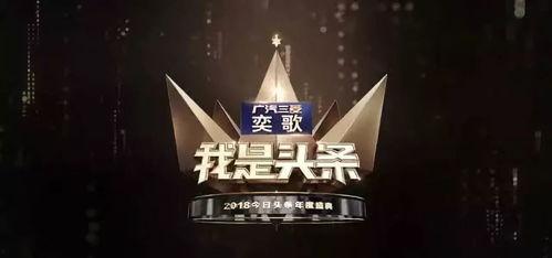 头条盛典视频评论区,评论区热议不断，网友点赞如潮