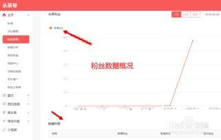 怎么查看受邀头条号信息,如何查看你的专属信息