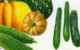 学习变吃瓜,探索知识与实践的趣味融合