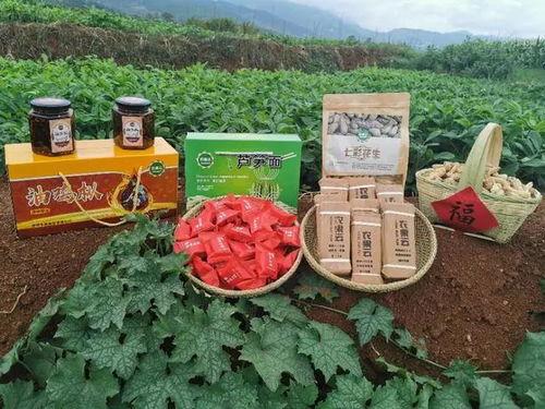 昆明东川的明星