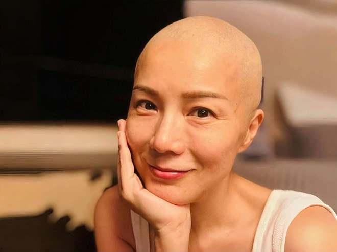 香港癌症明星,战胜病魔的勇气与希望之光