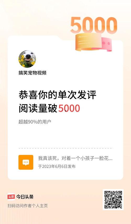 今日头条宠物测评团队