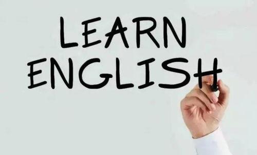 沈阳头条小玩意是什么,揭秘热门小玩意，带你领略潮流风向标