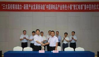 杨安镇头条新闻,聚焦发展新篇章，共绘乡村振兴美好蓝图