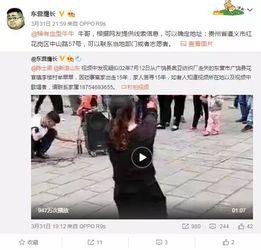 网友爆料歌曲视频播放大全,网友爆料，精彩瞬间一网打尽！