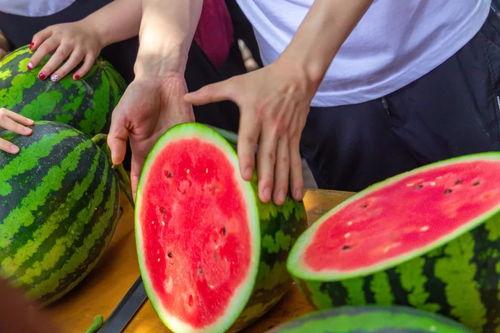 温州学子广场吃瓜,瓜香四溢，校园生活新风尚