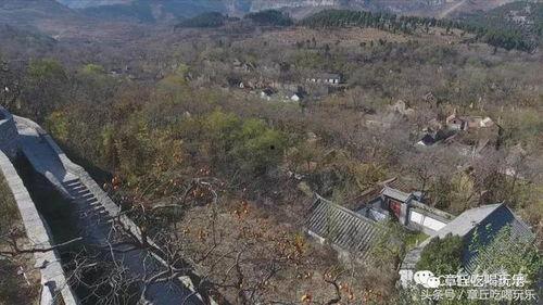 蔚县大岳家山村蝎子头条,探寻蝎子养殖新篇章